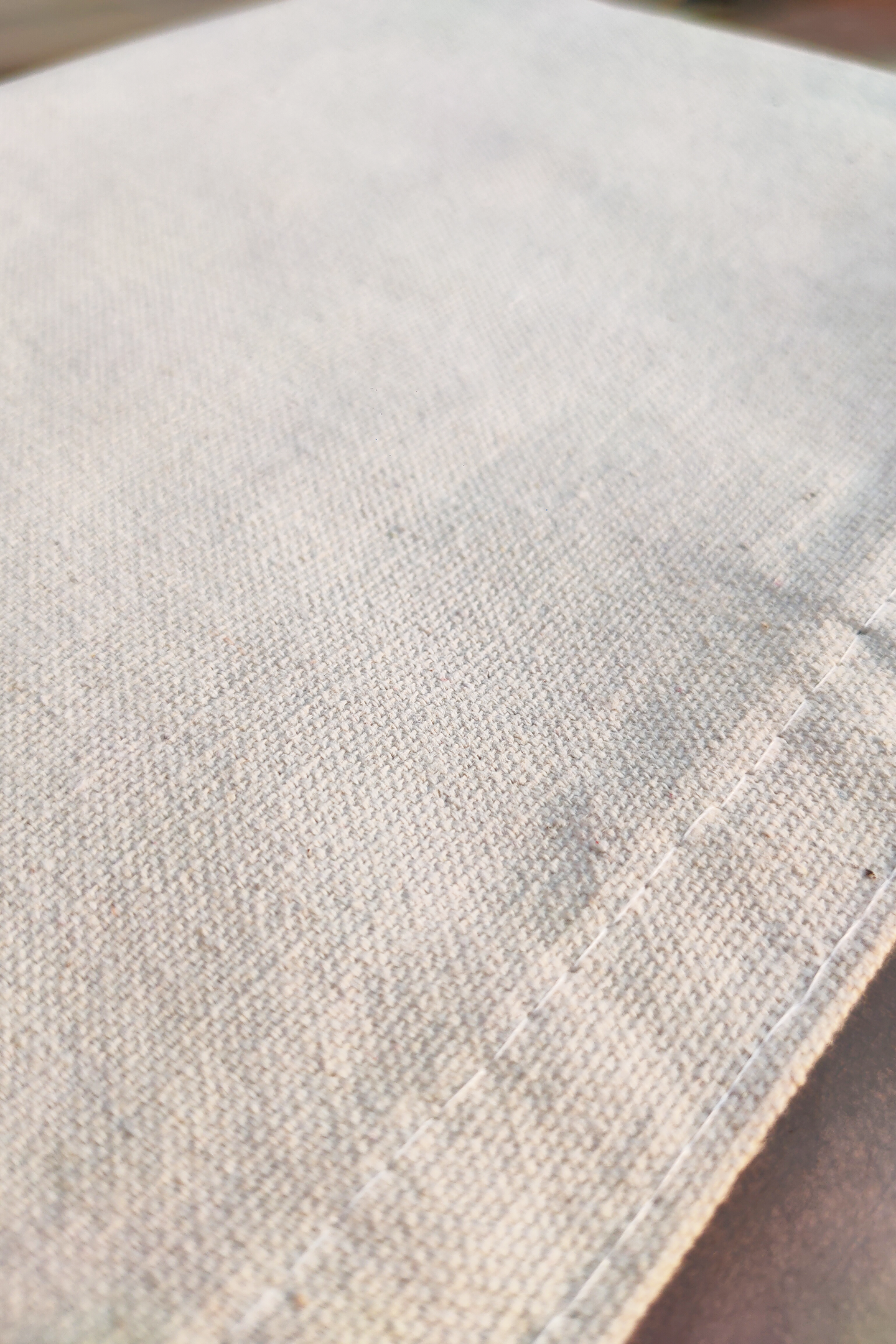 Getting Carried Away Tote Bag