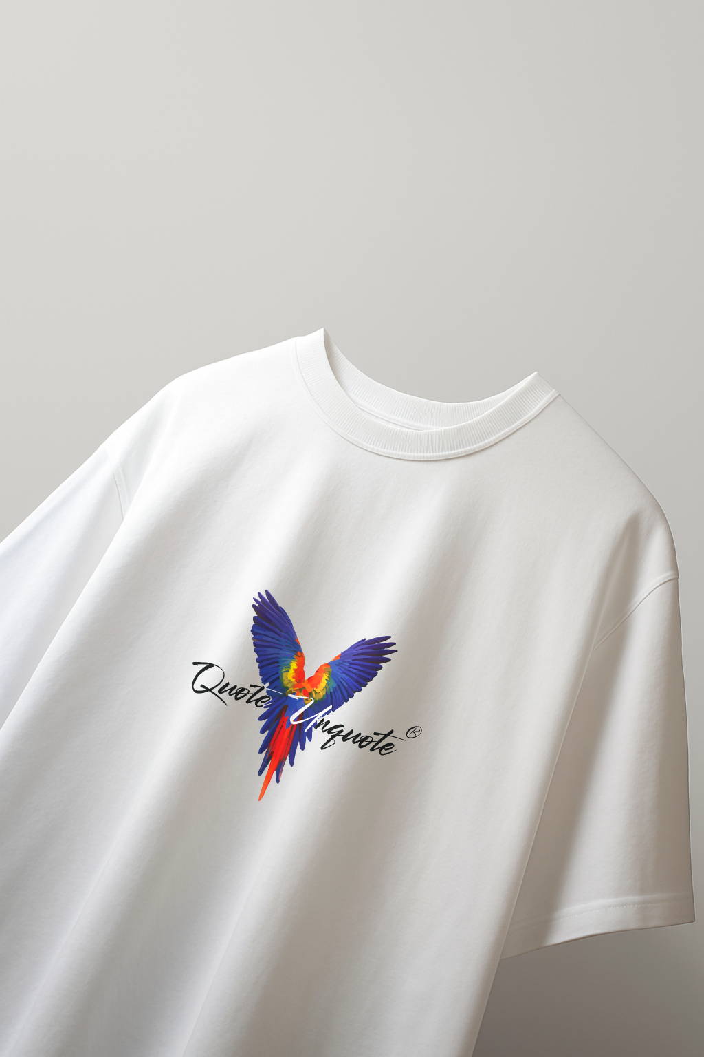 Soar High V1 Oversized T-shirt